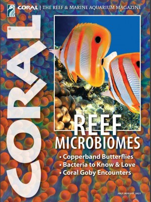 Reef Microbiomes