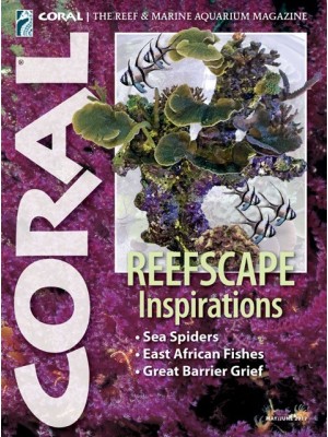 Reefscape Inspirations