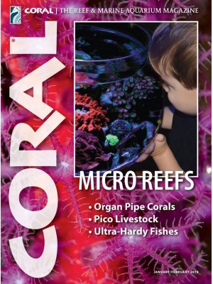 Micro Reefs