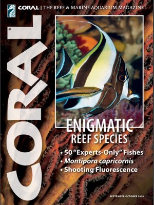 Enigmatic Reef Species
