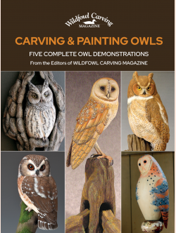Carving and Painting Owls Carving and Painting Owls