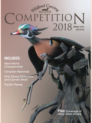 Competition 2018