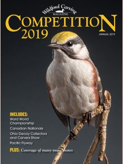 Competition 2019