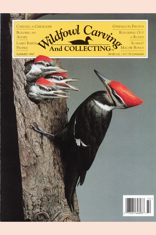 Magazine Carving Wildfowl