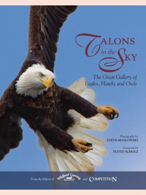 Talons in the Sky