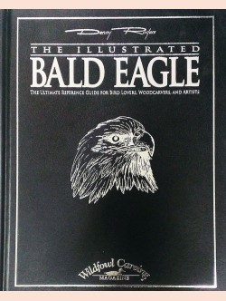 The Illustrated Bald Eagle