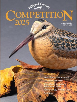 Competition 2025: Annual 2026