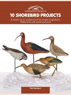 10 Shorebird Projects
