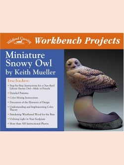 Miniature Snowy Owl