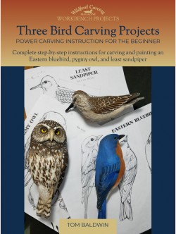 Three Bird Carving Projects