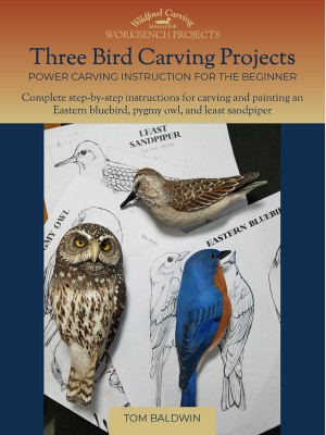 Three Bird Carving Projects